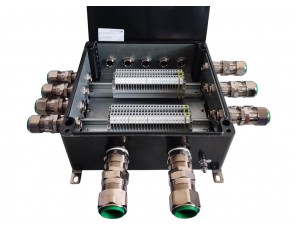 СКП-06.252612-Ехе-(48/2,5)-(2/2,5)-5(A)/20E1FX1RA5-2(B)/25E1FX1RA5-4(C)/20E1FX1RA5-5(D)/20E1FX1RA5-ПЗ